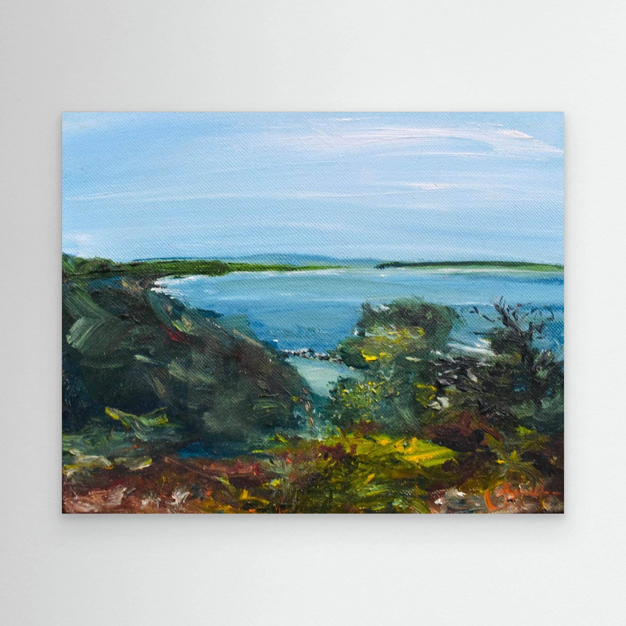 Glimpse - Norah Head Rockpool